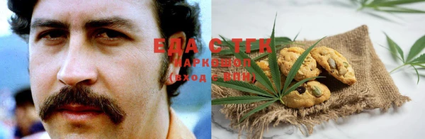индика Алексин