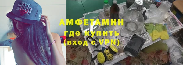 индика Алексин