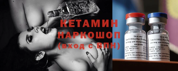 индика Алексин