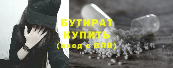 индика Алексин