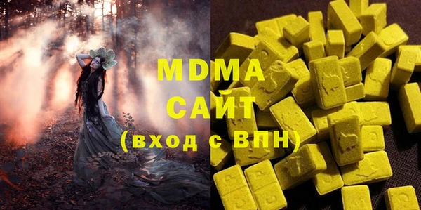 индика Алексин