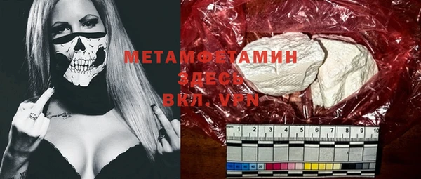 индика Алексин