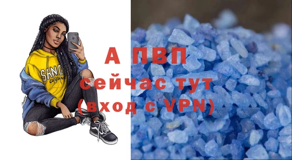 индика Алексин